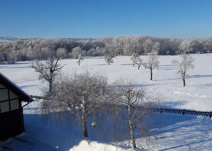 Zur Saaleaue * Wettin