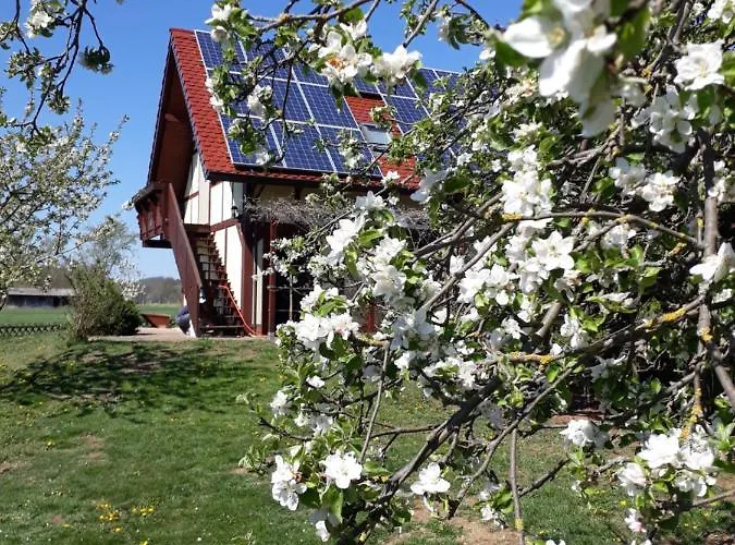 Zur Saaleaue * Wettin